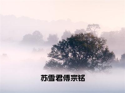 苏雪君傅宗铭小说最新章节在线阅读_苏雪君傅宗铭在线阅读