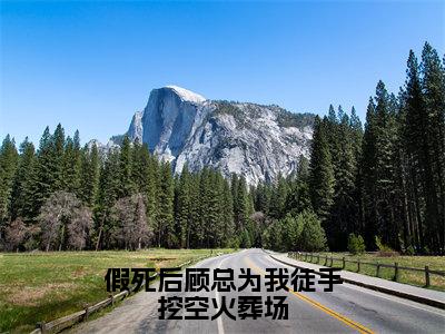 假死后顾总为我徒手挖空火葬场（苏菽顾景修）全本完整版免费阅读_（假死后顾总为我徒手挖空火葬场）苏菽顾景修全文章节目录_笔趣阁