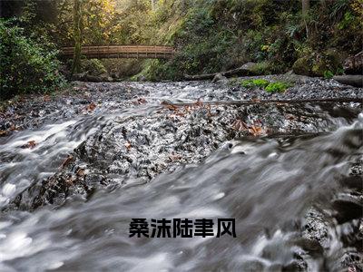 陆聿风桑沫（桑沫陆聿风）小说全文免费阅读-陆聿风桑沫免费阅读完整版