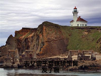 沈枝熹宋涟舟长篇免费小说，去父留子后瞎眼国舅发了疯最新章节在线阅读