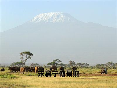 宋慕宁傅景熙全文免费阅读大结局_宋慕宁傅景熙（傅景熙宋慕宁）完整版在线赏析