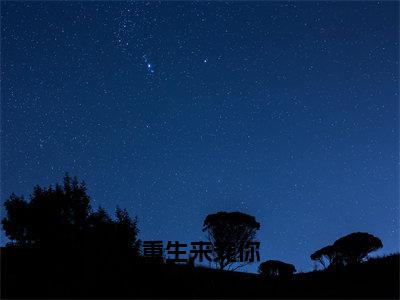 重生来宠你（黎行衍盛池）免费阅读_黎行衍盛池小说免费阅读-笔趣阁