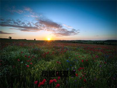 司煜戚夏寒小说（戚夏寒司煜）全文免费阅读无弹窗大结局_（司煜戚夏寒）戚夏寒司煜小说免费阅读最新章节列表