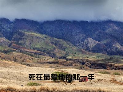 死在最爱他的那一年小说_姜绵绵谢靳宴全文阅读死在最爱他的那一年小说免费阅读笔趣阁