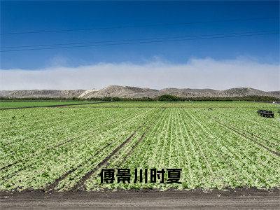 时夏傅景川为傅景川时夏的小说叫什么-最新小说傅景川时夏全文阅读