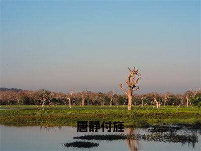 唐静付旌（唐静付旌全文免费阅读）小说最新章节_唐静付旌全文免费阅读最新章节列表_笔趣阁