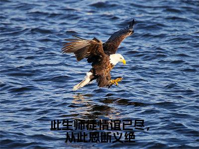 新上热文此生师徒情谊已尽，从此恩断义绝在线阅读-褚惊月帝临叫褚惊月帝临的小说全文完整版免费阅读