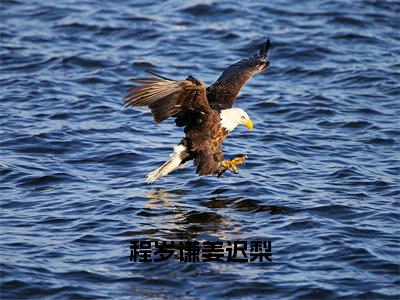 姜迟梨程岁谦（程岁谦姜迟梨）免费小说-（程岁谦姜迟梨）完结版在线阅读