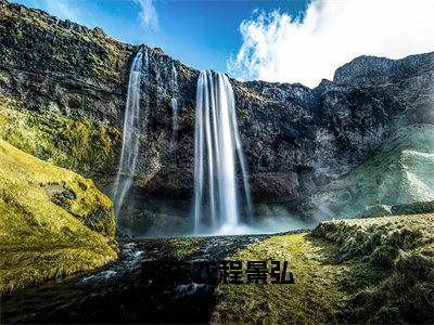 柳未衣程景弘全文免费阅读大结局-柳未衣程景弘最新章节列表笔趣阁