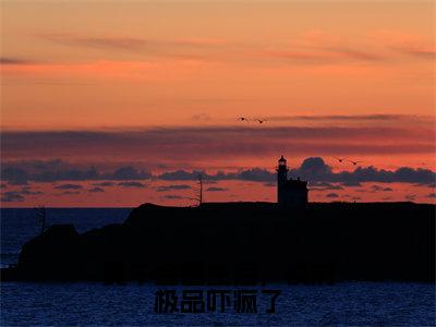 真千金重生后，侯府极品吓疯了全文免费阅读无弹窗-（沈晏在线阅读）真千金重生后，侯府极品吓疯了最新章节列表笔趣阁