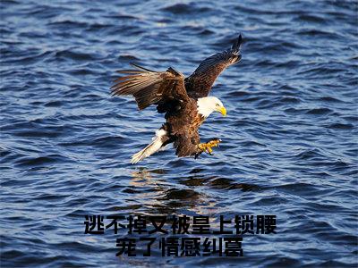 萧珩萧玥（逃不掉又被皇上锁腰宠了情感纠葛）全文免费阅读无弹窗大结局_逃不掉又被皇上锁腰宠了情感纠葛:萧珩萧玥最新章节列表_笔趣阁