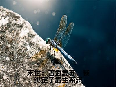 末世：古武复苏，我绑定了霸主系统（李玄）全文免费阅读_末世：古武复苏，我绑定了霸主系统（李玄）最新章节小说免费阅读