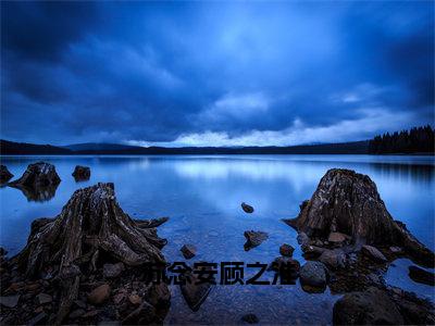 苏念安顾之淮（顾之淮苏念安）全文小说-苏念安顾之淮小说最新章节免费阅读（免费）+（全文）