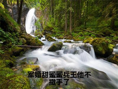 徐子矜陆寒洲全文免费在线阅读_（军婚甜蜜蜜兵王他不撒手了全文免费阅读无弹窗大结局）