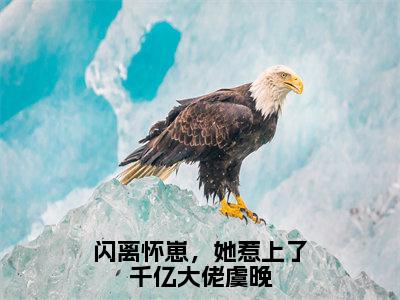 闪离怀崽，她惹上了千亿大佬虞晚虞晚晏庭州无广告阅读新上热文虞晚晏庭州在线免费读