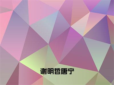 唐宁谢明哲（谢明哲唐宁）全文免费阅读无弹窗大结局_唐宁谢明哲免费最新章节列表_笔趣阁（谢明哲唐宁）