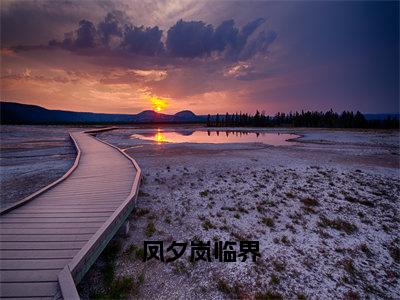 凤夕岚临界（岚临界凤夕）全文免费阅读无弹窗大结局_（岚临界凤夕小说免费阅读）最新章节列表_笔趣阁