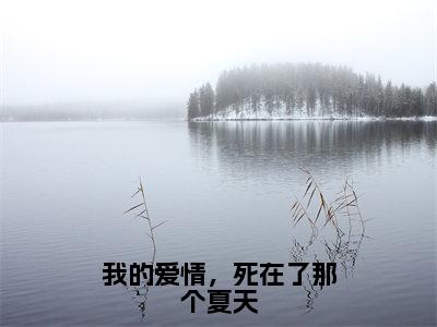 梁京隽叶念星小说最新章节阅读-我的<a href=