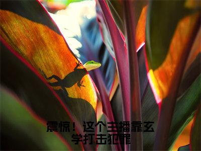 司瞳（震惊！这个主播靠玄学打击犯罪）全网首发小说-小说震惊！这个主播靠玄学打击犯罪（司瞳）完整版全文在线赏析