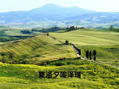 夏洛夕喻泽瑾（夏洛夕喻泽瑾全文在线阅读）-夏洛夕喻泽瑾免费阅读