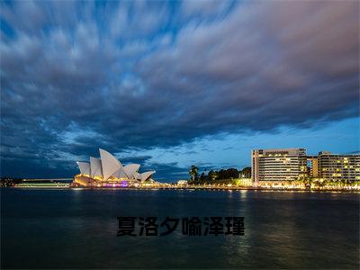 夏洛夕喻泽瑾全文免费阅读无弹窗大结局-夏洛夕喻泽瑾小说在哪里可以看