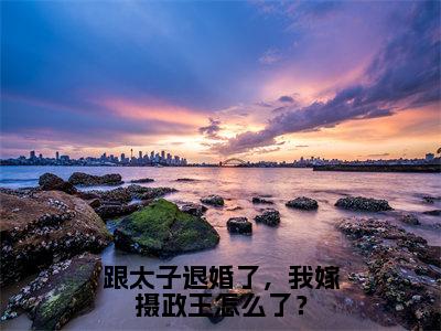 跟太子退婚了，我嫁摄政王怎么了？（夜少冥沈清瞳）小说全文免费读无弹窗大结局_跟太子退婚了，我嫁摄政王怎么了？小说章节试读最新章节列表笔趣阁