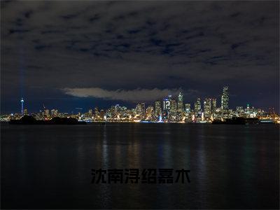 沈南浔绍嘉木免费阅读无弹窗大结局，沈南浔绍嘉木（最新全章节）全文阅读免费阅读-笔趣阁