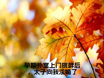 孕期外室上门挑衅后，太子向我求婚了小说（路知许）全文免费阅读无弹窗大结局_路知许最新章节列表