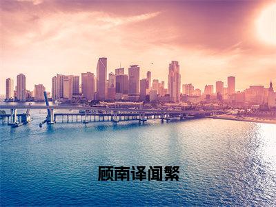 顾南译闻繁（顾南译闻繁）全文免费阅读无弹窗大结局_顾南译闻繁全文免费阅读（顾南译闻繁）最新章节列表