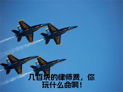 几百块的律师费，你玩什么命啊！（苏青柏）全文免费阅读无弹窗大结局_（苏青柏免费阅读全文大结局）最新章节列表