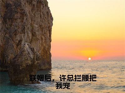 陆淼许翰霆全文免费（联姻后，许总拦腰把我宠）全文免费阅读无弹窗大结局_（联姻后，许总拦腰把我宠全文免费陆淼许翰霆）