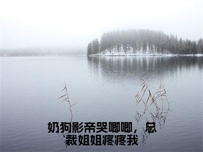 免费+后续奶狗影帝哭唧唧，总裁姐姐疼疼我（江瓷林星橙）快手热推小说主角奶狗影帝哭唧唧，总裁姐姐疼疼我完整版在线阅读