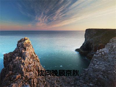 沈向晚顾京秋（沈向晚顾京秋）全文免费读无弹窗大结局_沈向晚顾京秋免费小说沈向晚顾京秋读无弹窗最新章节列表