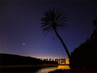 许丽榆叶树鸣小说全文免费阅读-许丽榆叶树鸣最新章节列表免费阅读