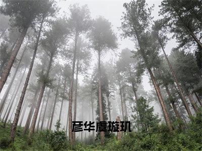 彦华虞璇玑小说全文-虞璇玑彦华无弹窗免费阅读