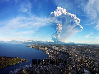 单伊纯秦时野（秦时野单伊纯）全文免费阅读无弹窗大结局_（秦时野单伊纯）单伊纯秦时野最新章节列表