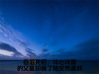 陆安然慕辞母后死后，冷心冷面的父皇却疯了陆安然慕辞小说全文无广告阅读-陆安然慕辞小说赏析母后死后，冷心冷面的父皇却疯了陆安然慕辞