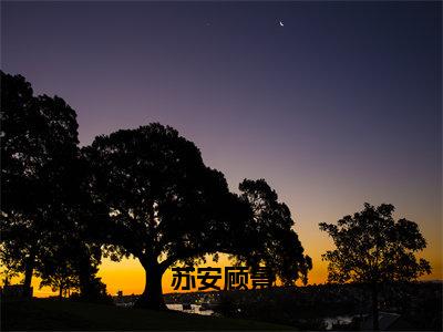 顾景苏安小说全文-苏安顾景小说免费阅读大结局