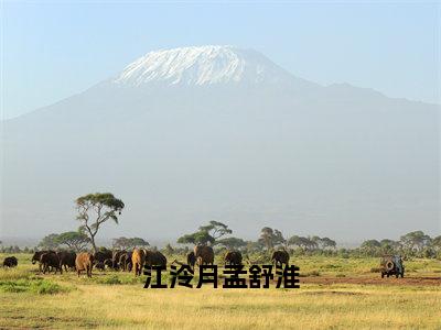 热文（江泠月孟舒淮）在线阅读-（江泠月孟舒淮）完整版免费阅读全文最新章节列表_笔趣阁