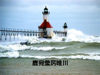 厉唯川鹿宛莹今日更新最新章节鹿宛莹厉唯川在线阅读