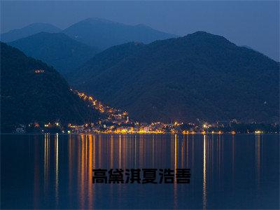 高黛淇夏浩善在线阅读（高黛淇夏浩善）全文免费阅读无弹窗大结局_高黛淇夏浩善免费最新章节列表