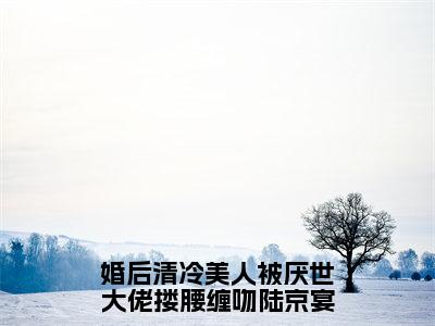 婚后清冷美人被厌世大佬搂腰缠吻陆京宴（沈南音陆京宴）全文免费阅读无弹窗大结局_婚后清冷美人被厌世大佬搂腰缠吻陆京宴最新章节列表（沈南音陆京宴）