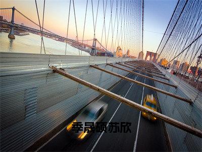 季晟硕苏欣（苏欣季晟硕）全文免费阅读无弹窗大结局_季晟硕苏欣最新章节列表（苏欣季晟硕）