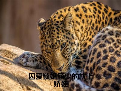 顾君弦苏栀年（囚爱锁婚顾少的枕上娇娃）全文免费阅读无弹窗大结局_（顾君弦苏栀年阅读无弹窗）囚爱锁婚顾少的枕上娇娃最新章节列表