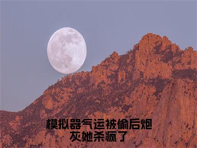 凌云小说全文免费阅读_模拟器气运被偷后炮灰她杀疯了（凌云）最新章节列表笔趣阁