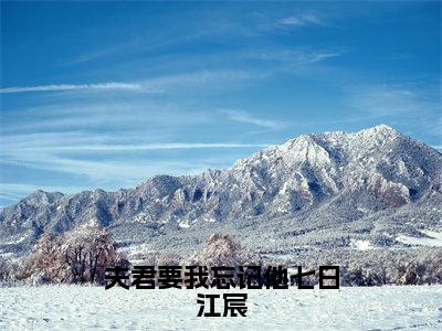 《夫君要我忘记他七日江宸完整小说》楚穆雪江宸完结版全章节阅读