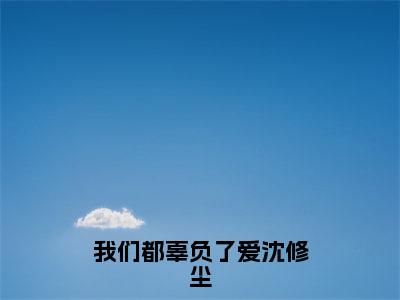 我们都辜负了爱沈修尘（穆童沈修尘）全文免费阅读无弹窗大结局_我们都辜负了爱沈修尘免费阅读无弹窗