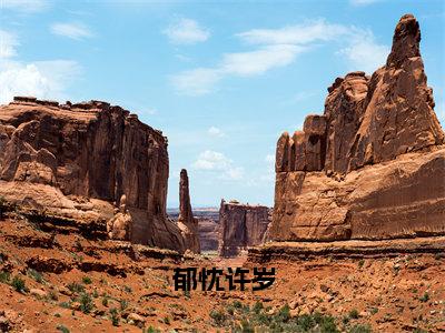 郁忱许岁（郁忱许岁）全文免费读无弹窗大结局_郁忱许岁免费小说无弹窗最新章节列表