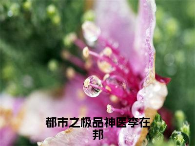 都市之极品神医李在邦小说_李在邦全文阅读都市之极品神医李在邦小说免费阅读笔趣阁