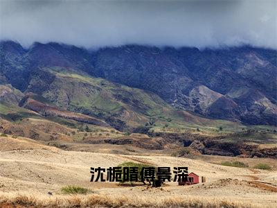 沈栀晴傅景深全文免费阅读大结局_傅景深沈栀晴已完结全集沈栀晴傅景深大结局小说